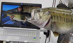 Laptop pic.jpg