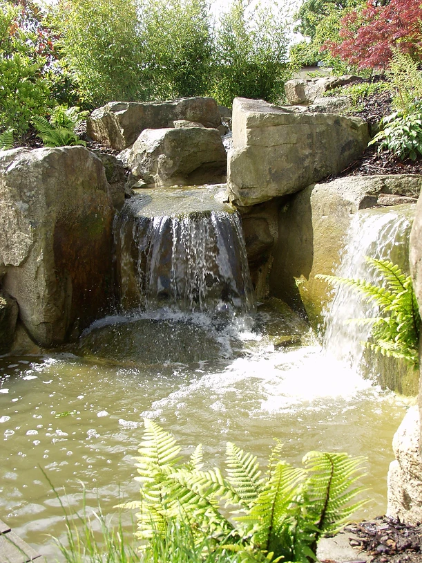 Water Gardens Ross On Wye Hr9 Uk Peter Dowle Howle Hill Nursery