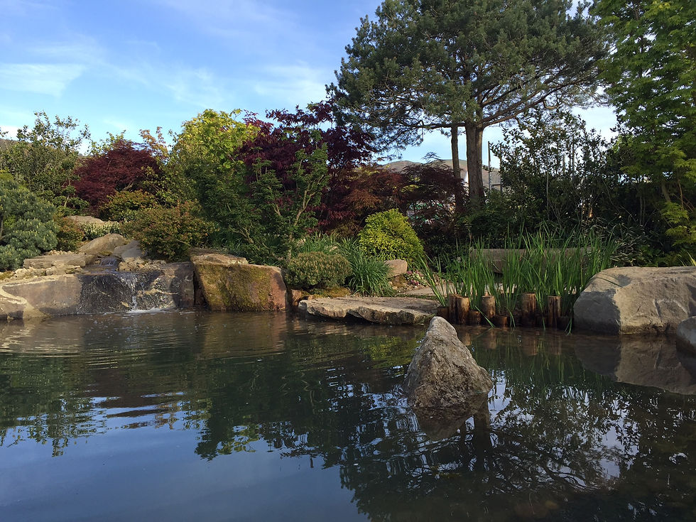 Japanese garden design UK