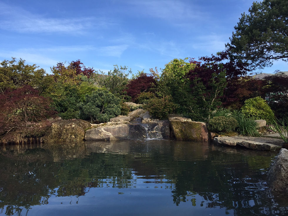 Japanese garden design UK