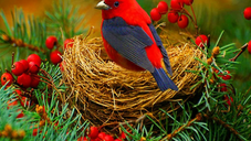 Увеличьте свой денежный поток активизируя и накапливая полезную энергию..