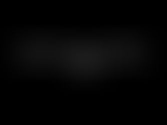 Don't Miss the Hook: WCS's End of Year Party is the Catch of the Season!