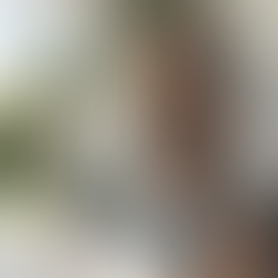 Decoding the Mysteries: CBD vs THC Infused Edibles - Deeper Dive