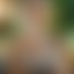 Mixing Wellness: The Rising Trend of CBD Powder Drinks