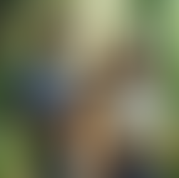 Sip Your Way to Wellness: Discovering CBD Drink Powders