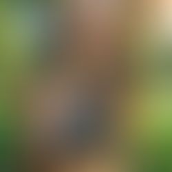 Sipping on Nature: Diving into Flowerade's CBD Drink Mix