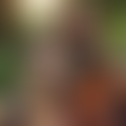 Stirring Up Wellness: Discover the Benefits of CBD Powder