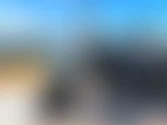 大桐出任務|竹圍漁港