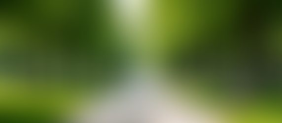 Exciting New Park Opens Its Gates in Downtown Altamonte Springs