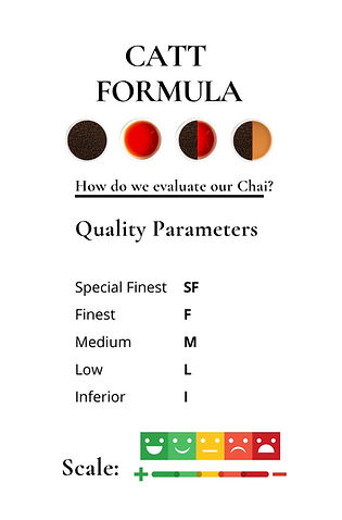 DUPLICATE BROCHURE (A4 (Landscape)) (1).jpg