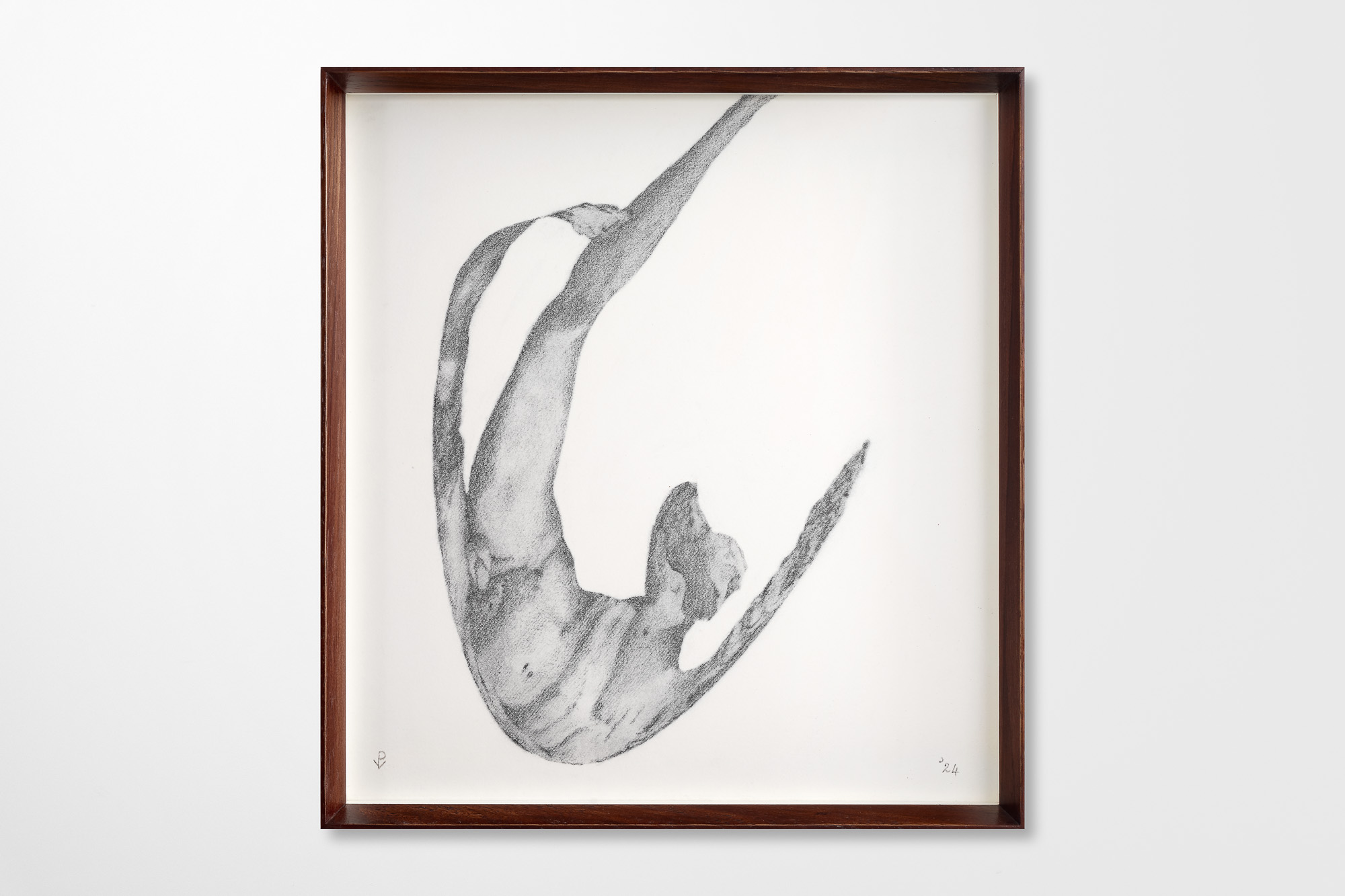 Pierre Vermeulen
David in space 1
2024
Charcoal on paper 
33 x 28 cm