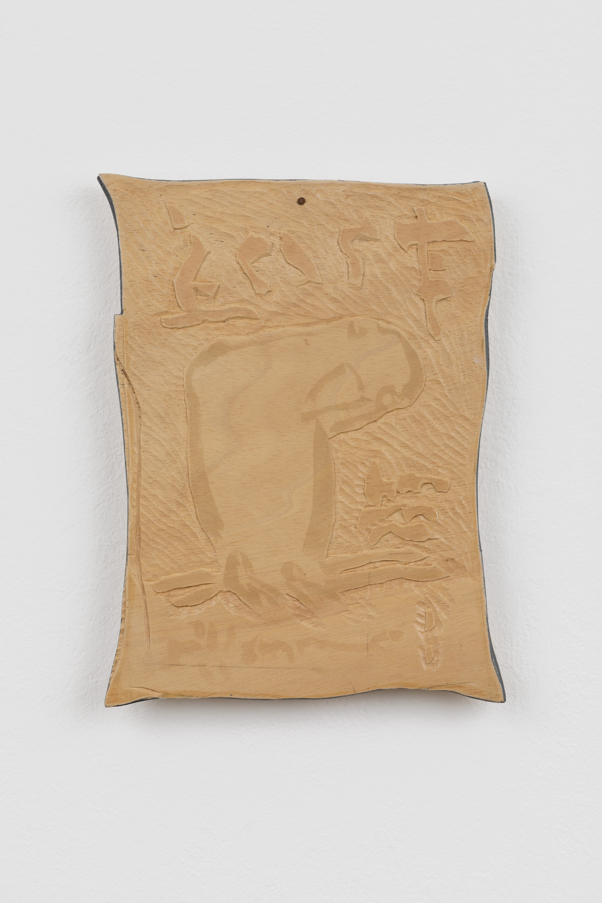 Anna van der Ploeg
Parakeet
2023
Carved plywood, varnish
33 x 24 cm