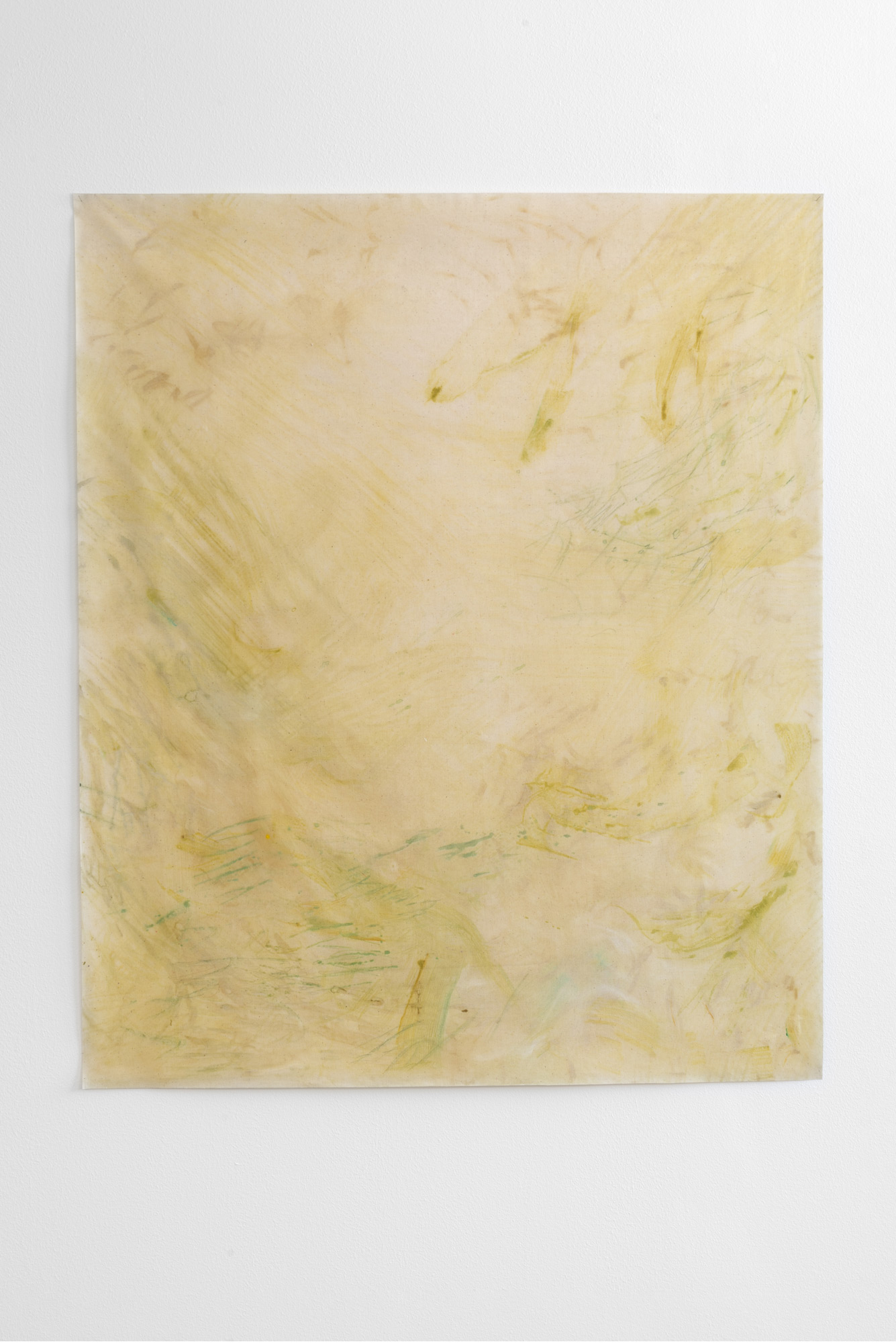 Amber Moir
Silt II, 2023
Pitch-rolled monotype and colour pencil on sized calico
119 x 99.5 cm