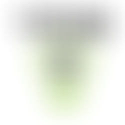 Sell-side Advisor: True Lacrosse