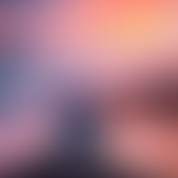 How SEO Drives Personal Brand Growth in the Creator Economy