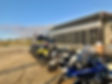 IMG_4959.jpeg