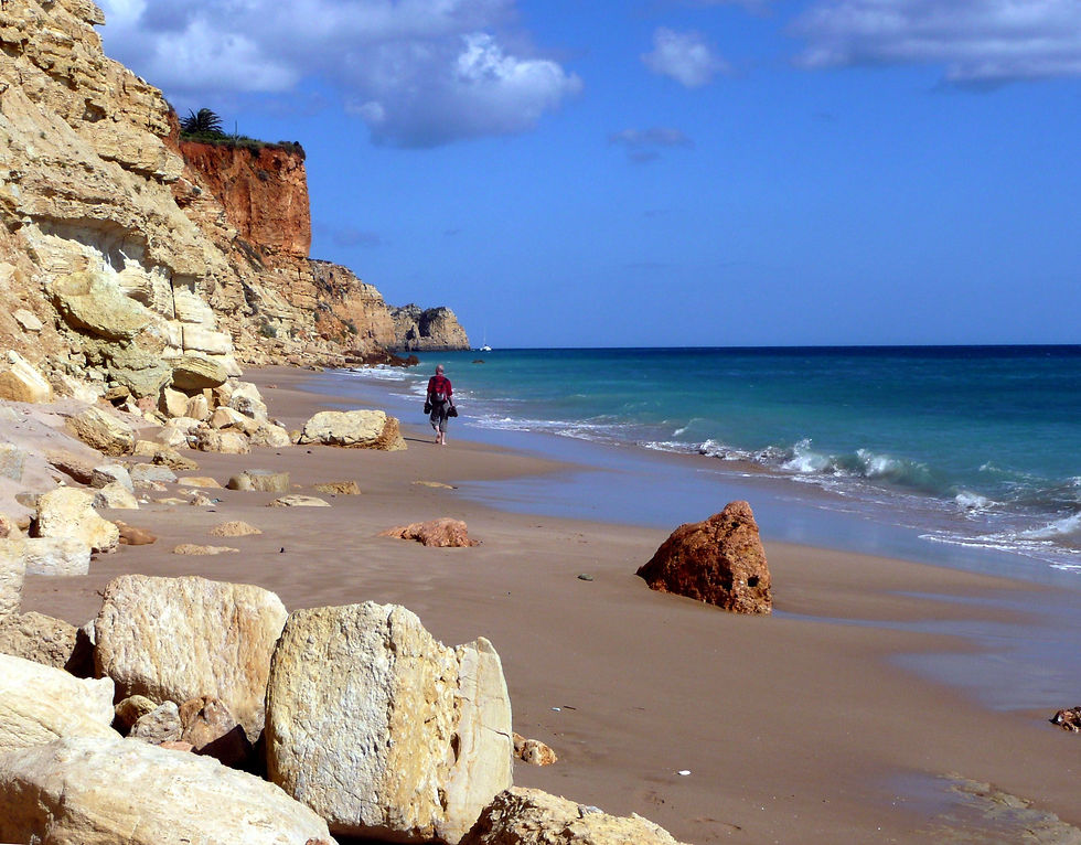 sandy-beach-2644718.jpg