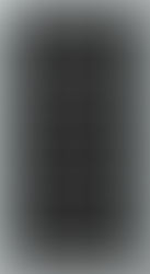 Find Your Wonderland