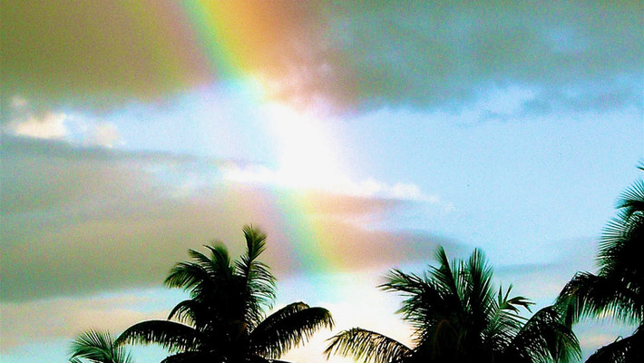 Maui Rainbow
