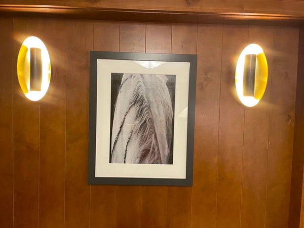 Braided - Four Seasons Resort - Jackson Hole, WY