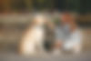 31703.jpg