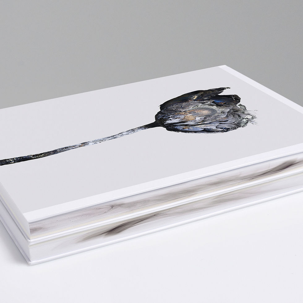 Thumbnail: Error in Truth - 1 Book