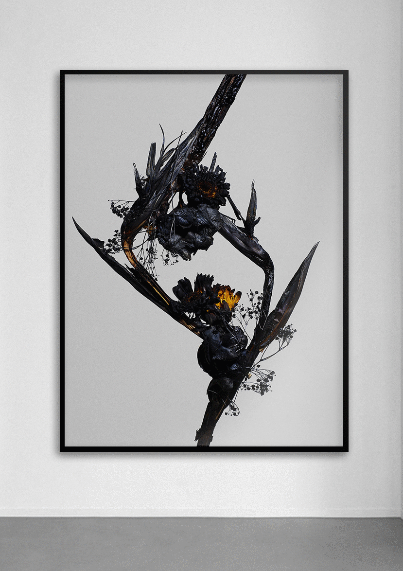 Gif Gallery.gif