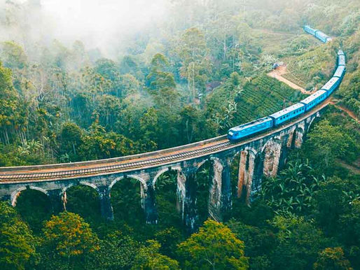 Sri Lanka: Wild Luxury, Tea Trails & Real Adventure