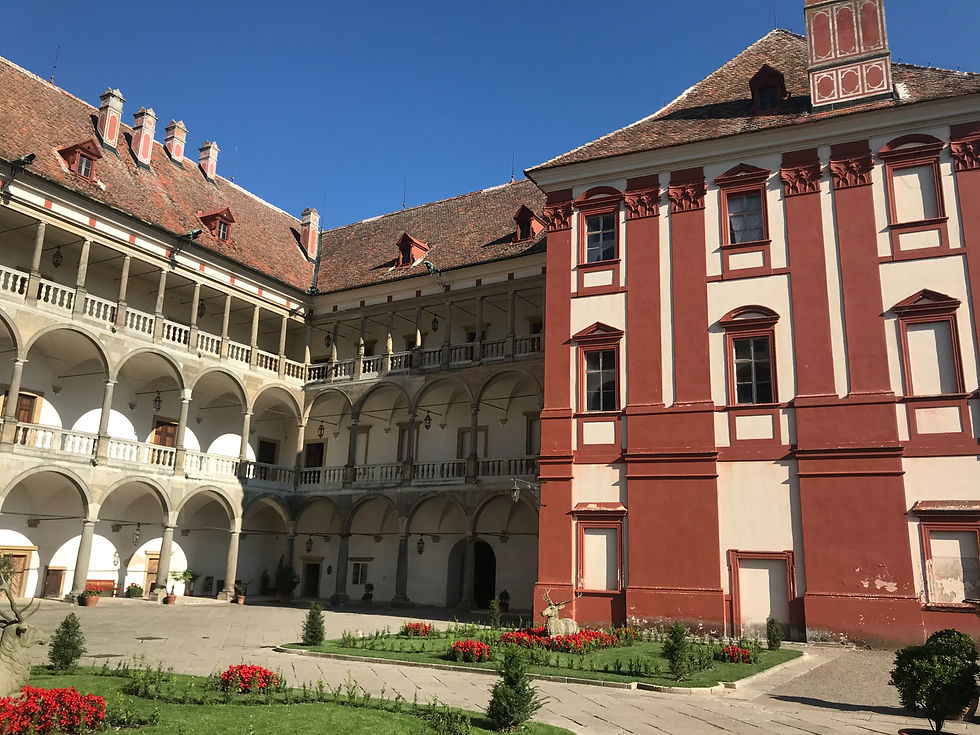 Opočno - 11