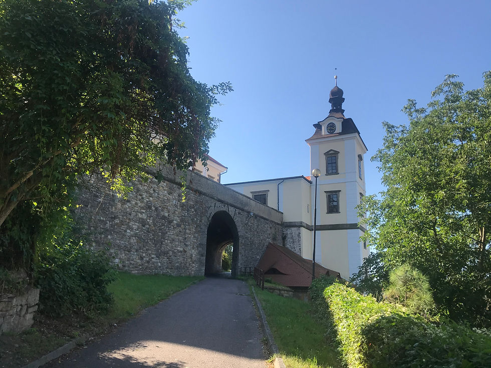 Rychnov nad Kněžnou - 01