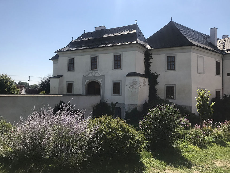 Pluhův Žďár - 06