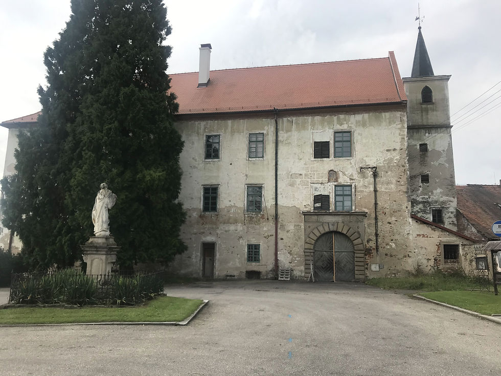 Komařice - 02