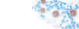 targeted-therapy-bg.jpg