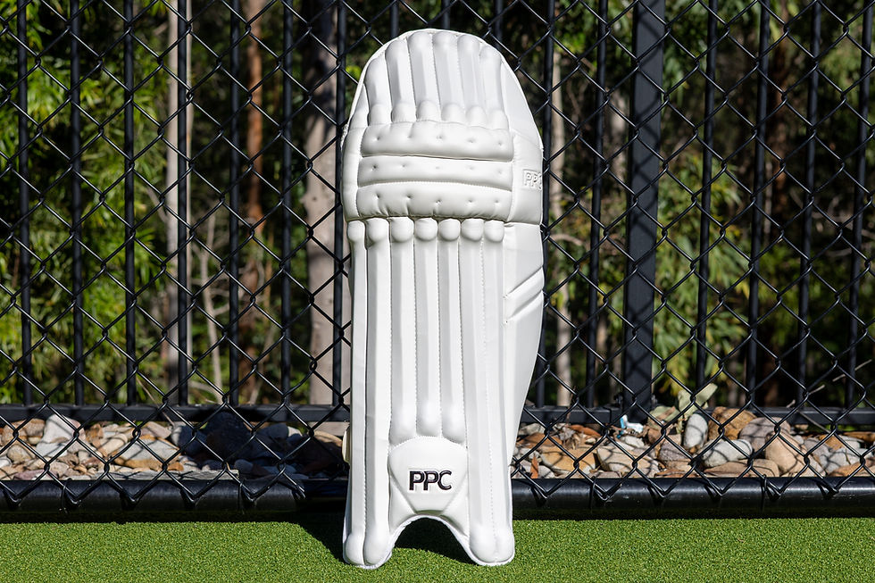 Thumbnail: PPC BATTING PADS TITANIUM - WHITE - ADULT ONLY