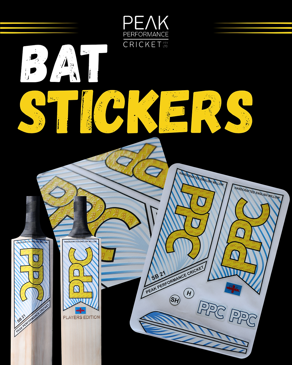 Thumbnail: BAT STICKERS
