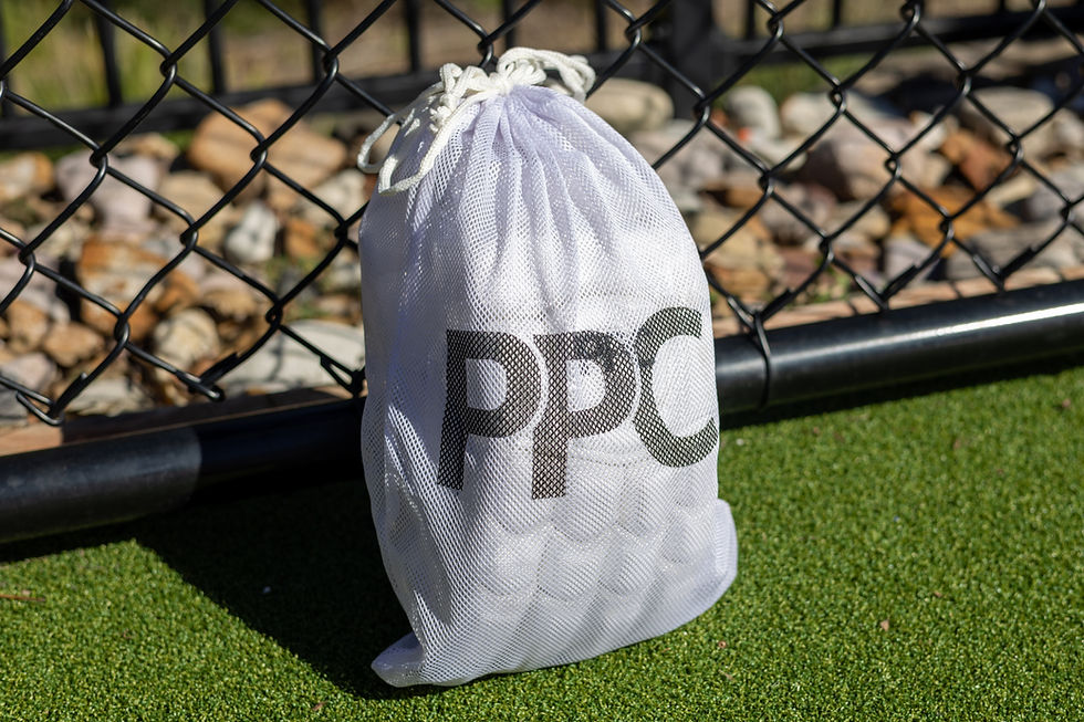 Thumbnail: PPC BATTING GLOVES MAJESTIC 