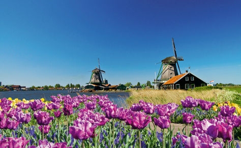 windmills in Amsterdam