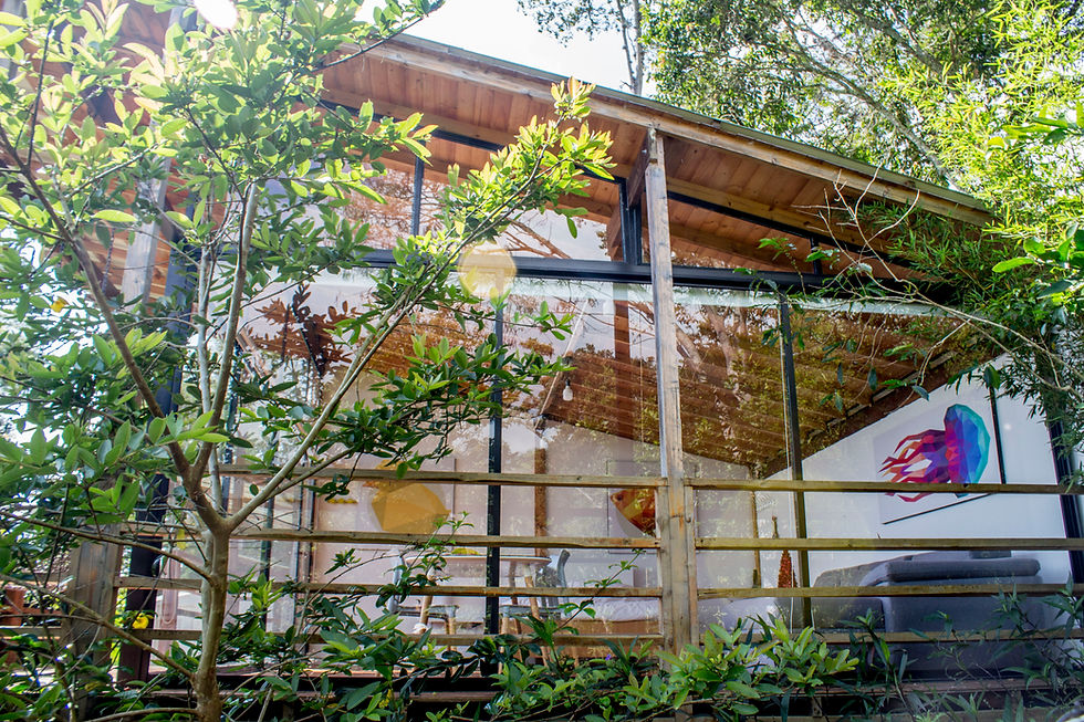 Arbol y naturaleza en hospedaje en cabaña con ventanales