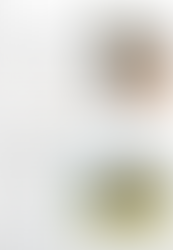 Sidjil est proposé à la monte