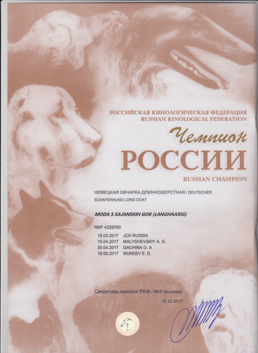 Скан_20180402 (5).png