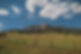 jeff-burak-lPO0VzF_4s8-unsplash_edited.jpg