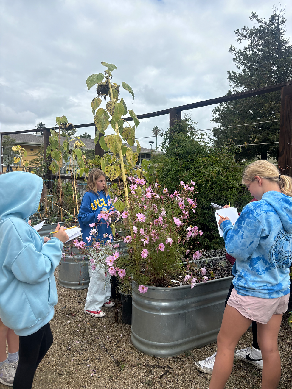 Students in the garden journaling