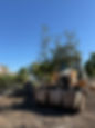 IMG_4784.jpeg