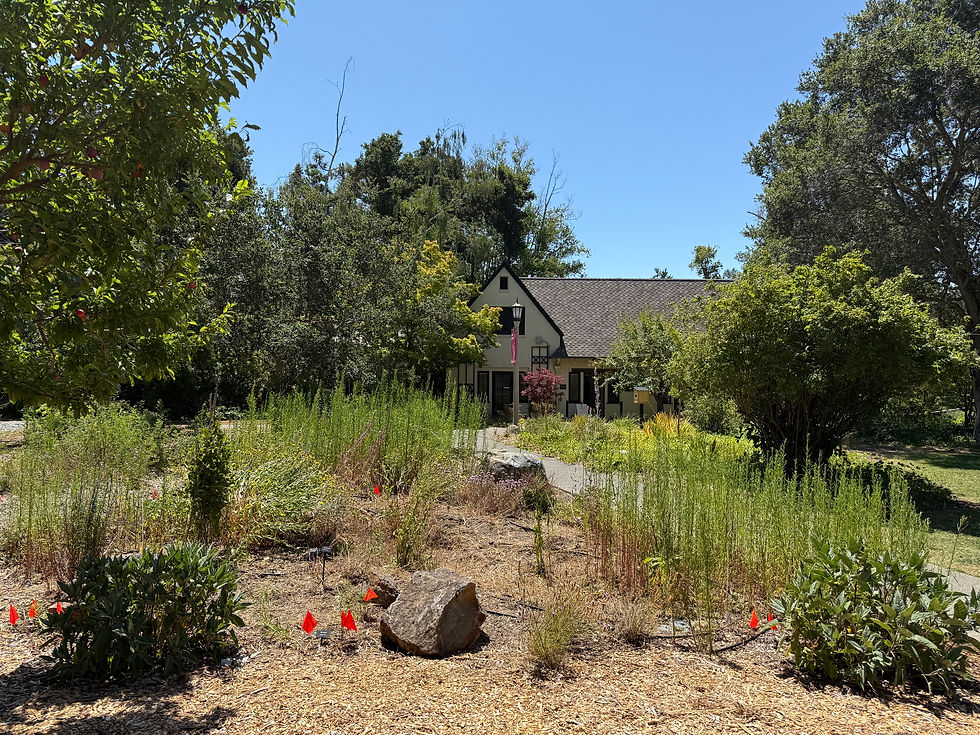 Work Party at Dominican University