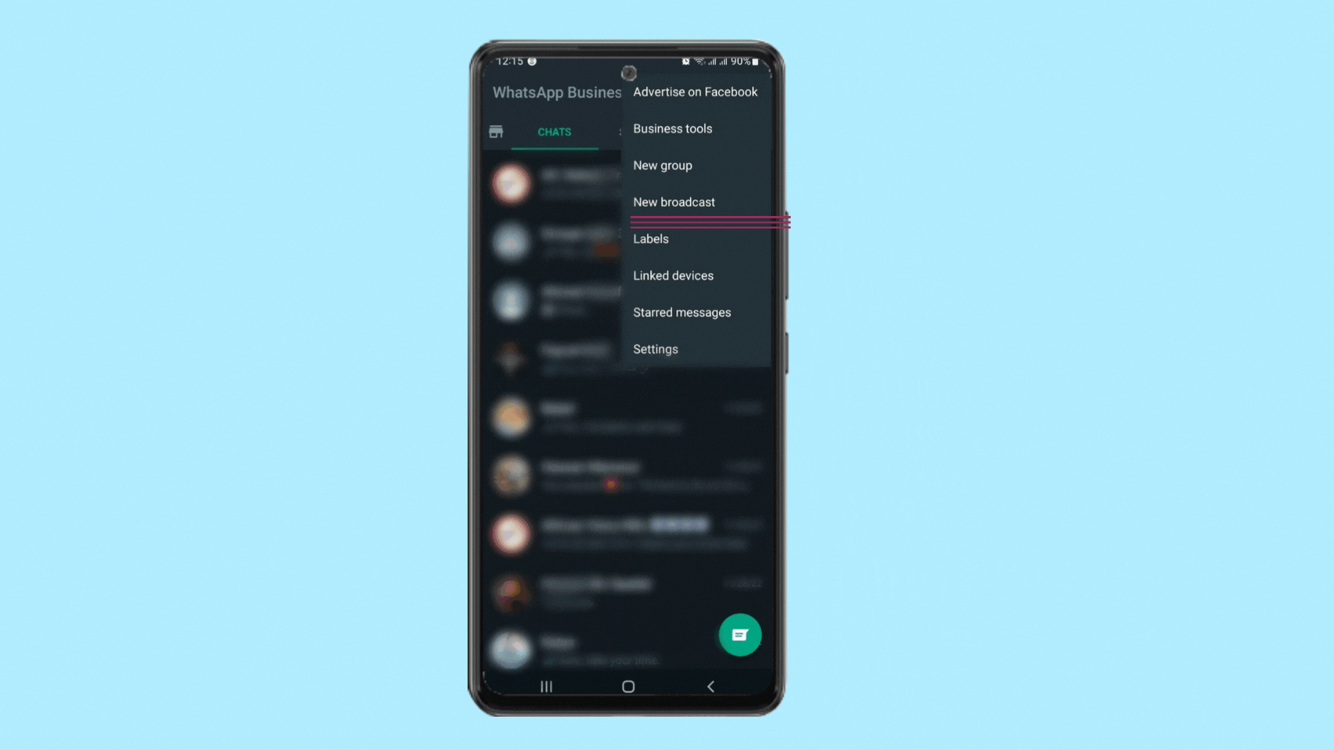 WhatsApp Business App broadcast feature