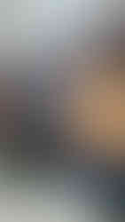 Custom blue built-in desk with brass sconces, LED shelf lighting, and wood top designed by Prohl Design in Austin, TX.