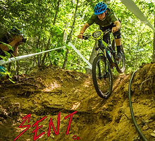 pasted image 0 (1).png