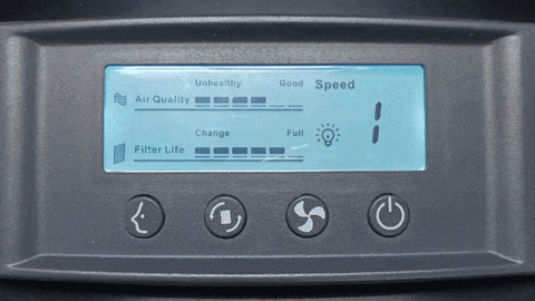 Airgle 手機應用程式