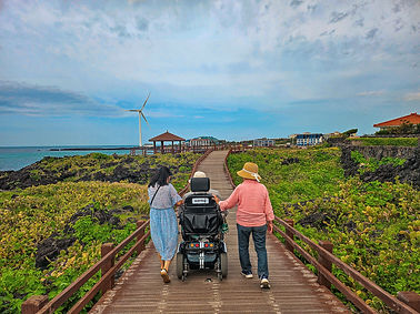 wheelchair-tour-118.jpg