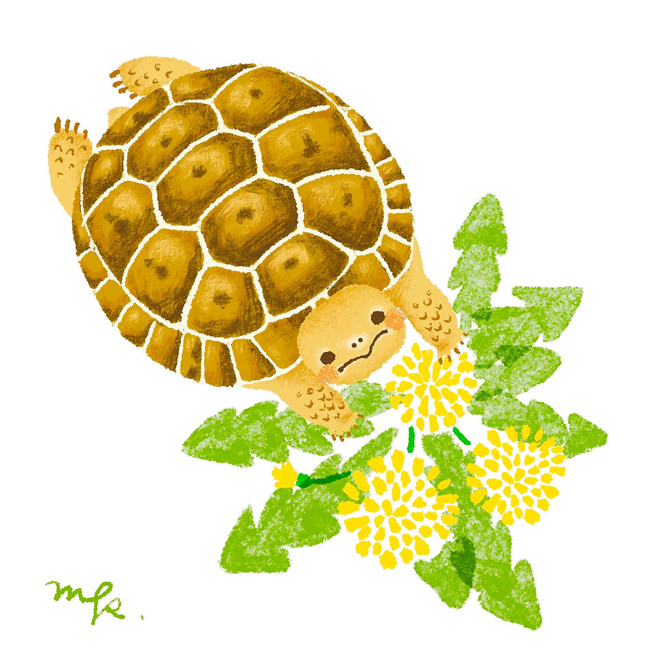 ree